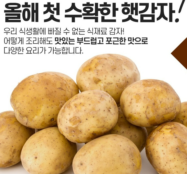 늘해랑 포슬포슬 햇 수미감자, 1개, 감자 5kg(대) 2 햇감자
