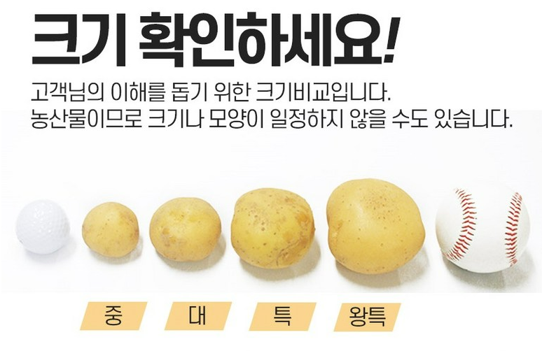 늘해랑 포슬포슬 햇 수미감자, 1개, 감자 5kg(대) 3 감자 크기