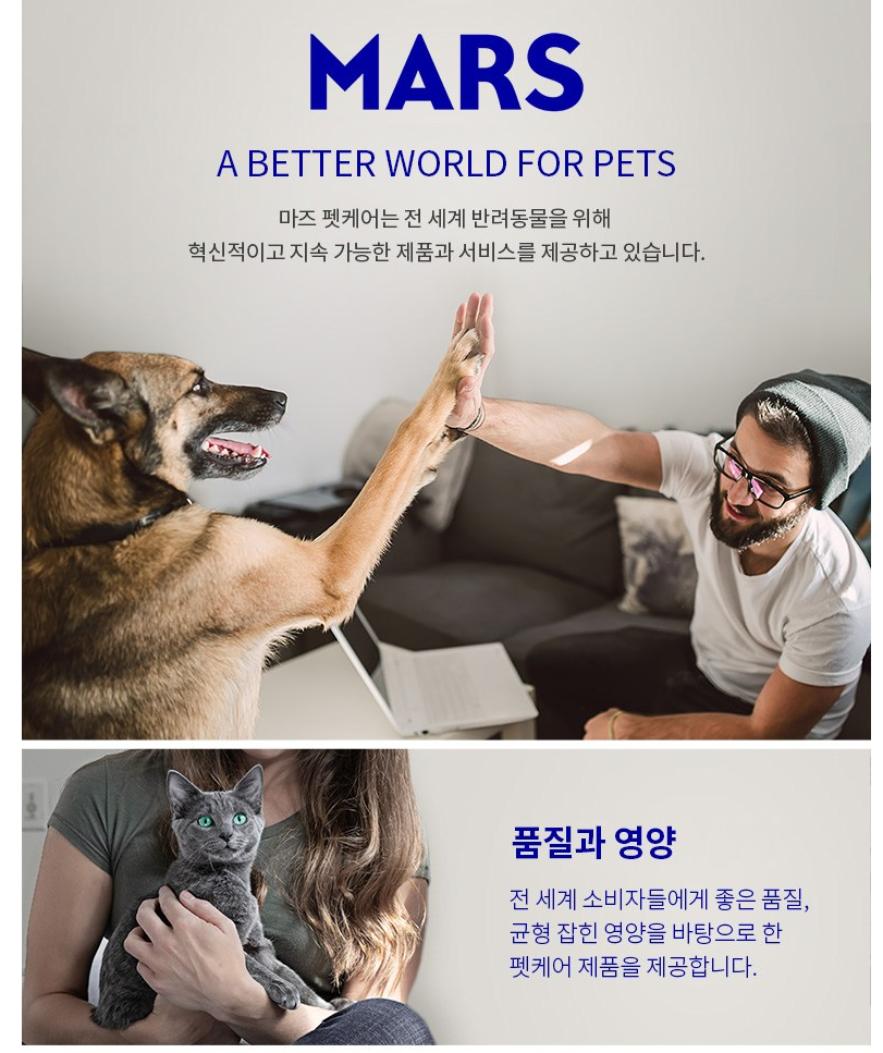뉴트로 어덜트 실내묘용 건식사료 상품 리뷰 6 마즈