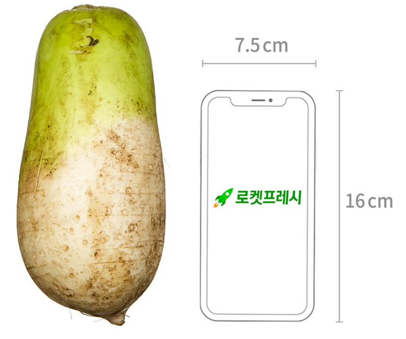 쿠팡 국내산 무 상품 리뷰 2 무