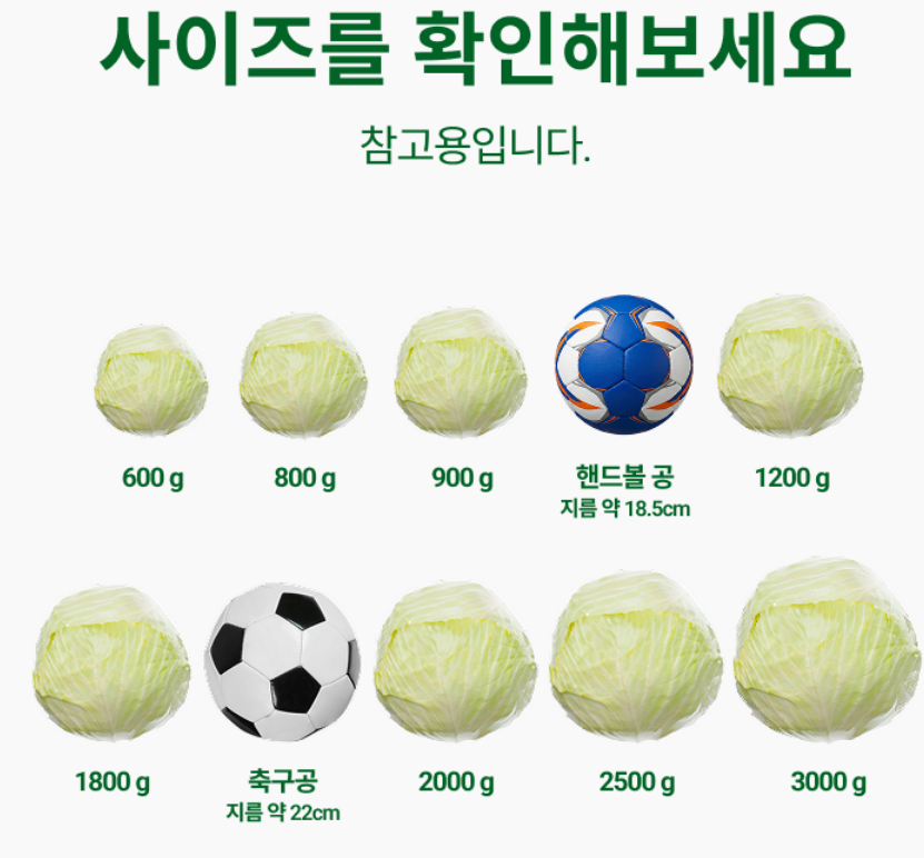 쿠팡 국내산 양배추 상품 리뷰 2 양배추
